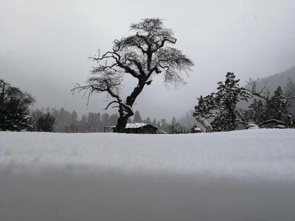 视频拍下医院急诊大厅变“水帘洞” :系管道破裂导致 积水已清理