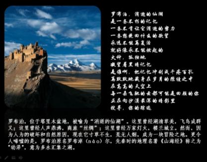 特种突击聪明的顺溜