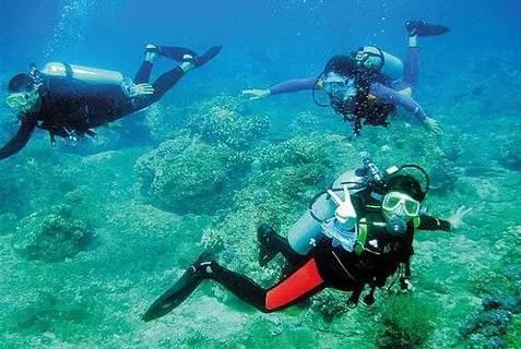“青”眼最泉州丨寺门悠静倒莲花 古韵流传盈海涯