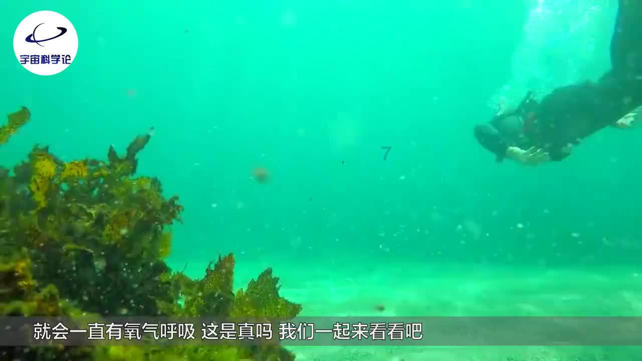 《命运方舟》太阳盐收集位置一览