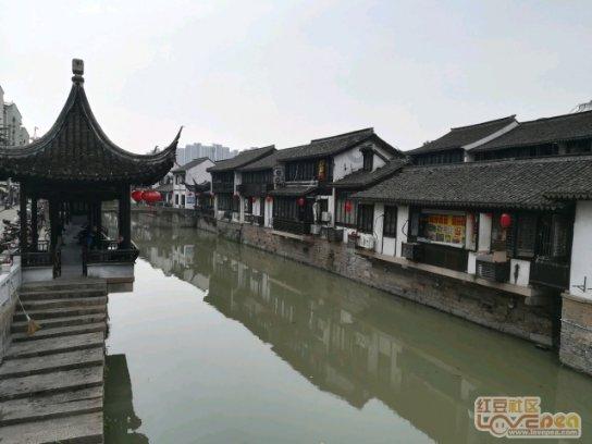 减肥的人可以喝黑芝麻糊吗？是否可以将黑芝麻糊当成主食呢？